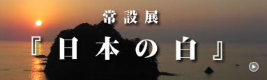 nihonnosiro_banner.jpg